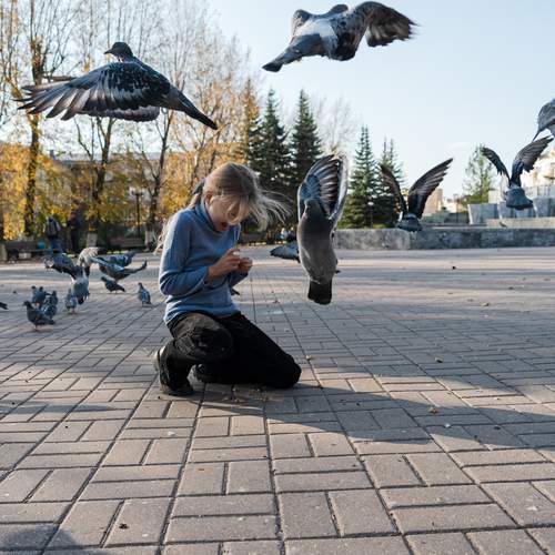 застывшее движение