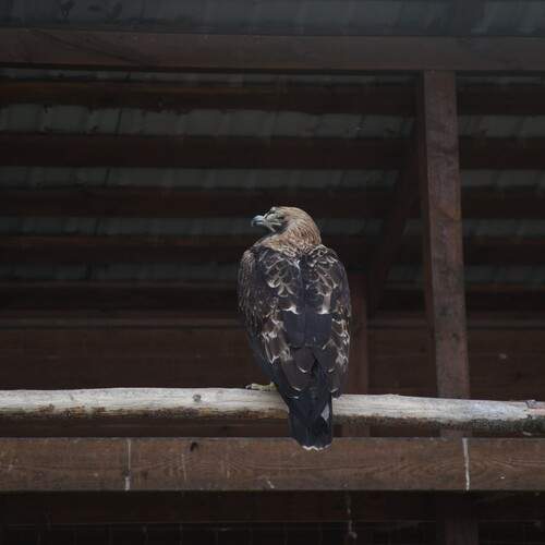 Photo #13705205