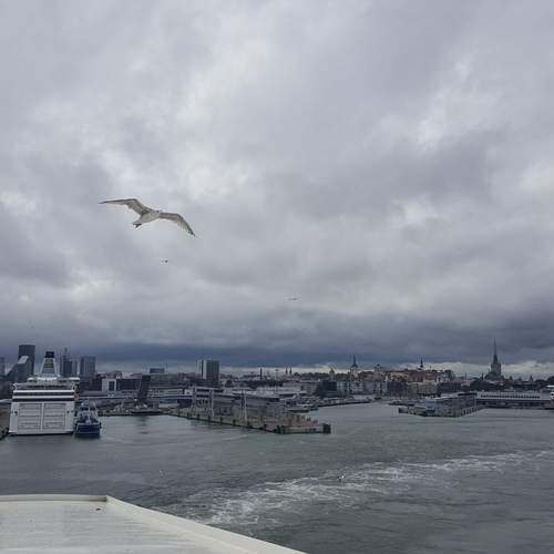 Photo #13705217