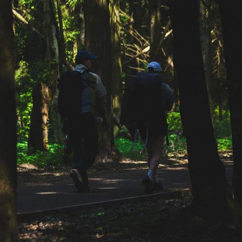 Photo #13705219