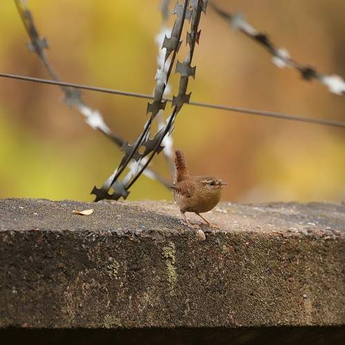 Photo #13705222