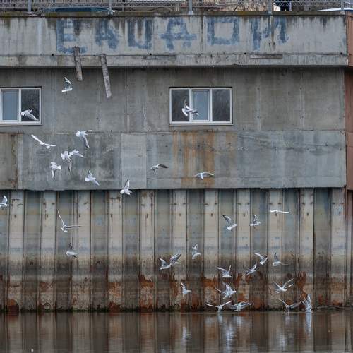 Photo #13705225