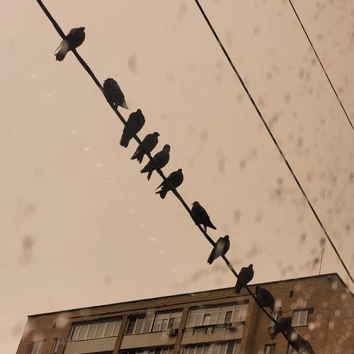 Photo #13705228