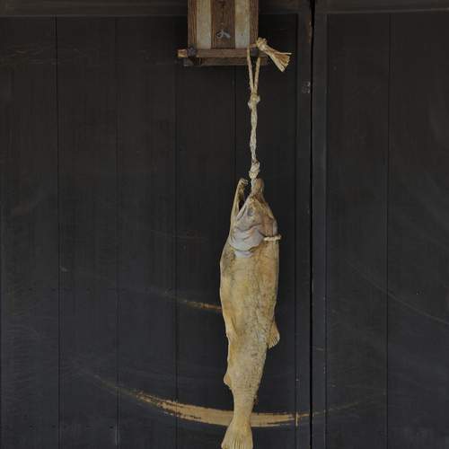 Photo #13705266