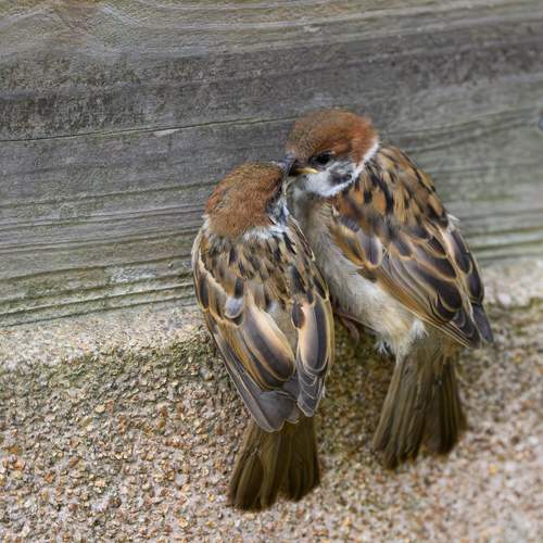 Photo #13705284