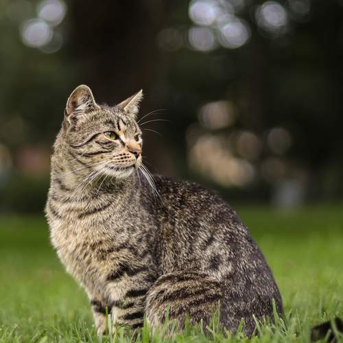Photo #13705359