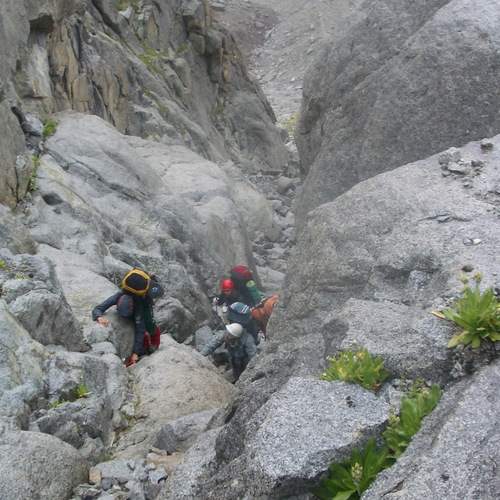 Photo #13705407
