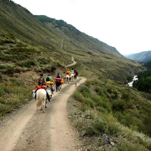 Photo #13705447