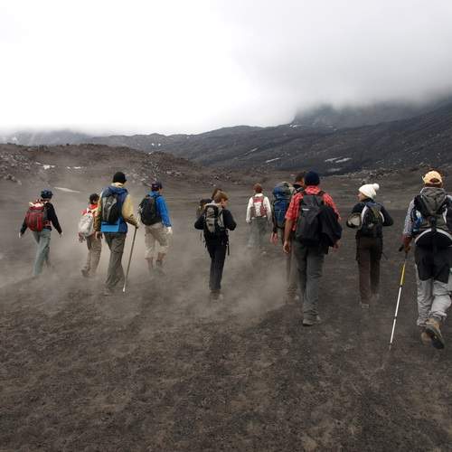 Photo #13705448