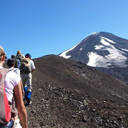 Photo #13705449