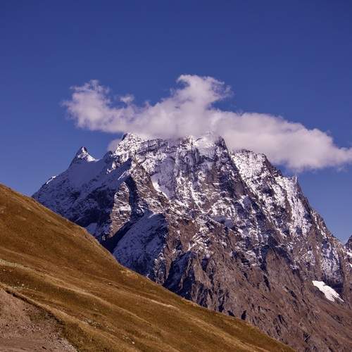 Photo #13705482