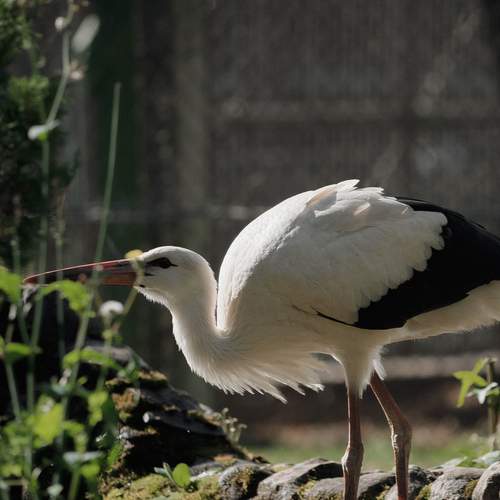 Photo #13705556