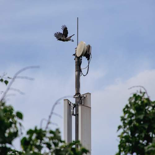 Photo #13705579
