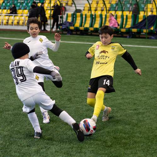 Photo #13705596