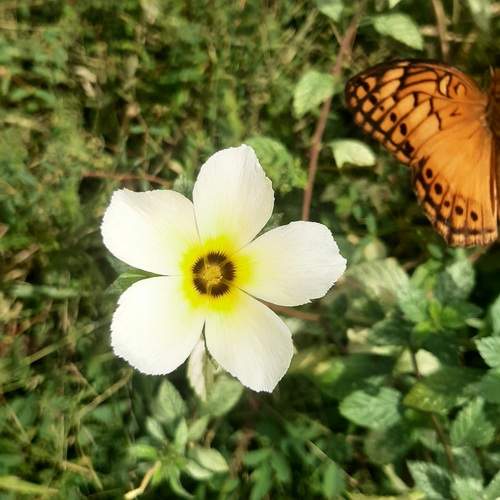 Photo #13705608