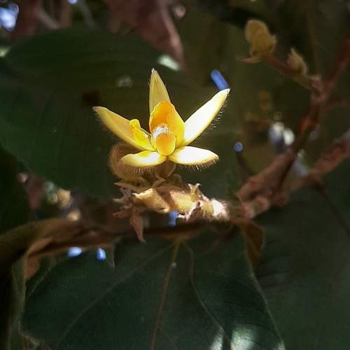 Photo #13705613