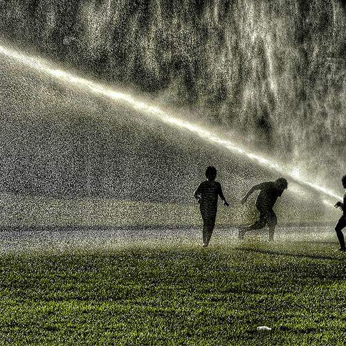Photo #13705631