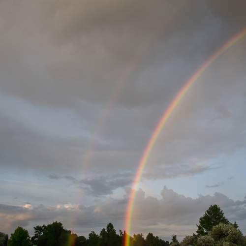 Photo #13705632