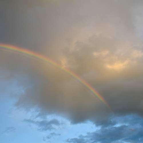 Photo #13705634