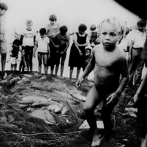 Photo #13705643