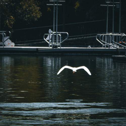 Photo #13705646