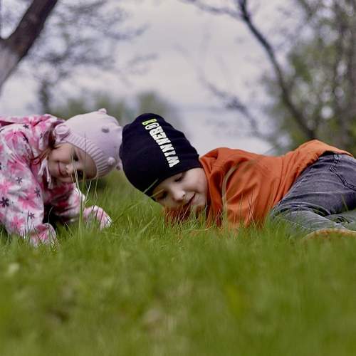 Photo #13705652