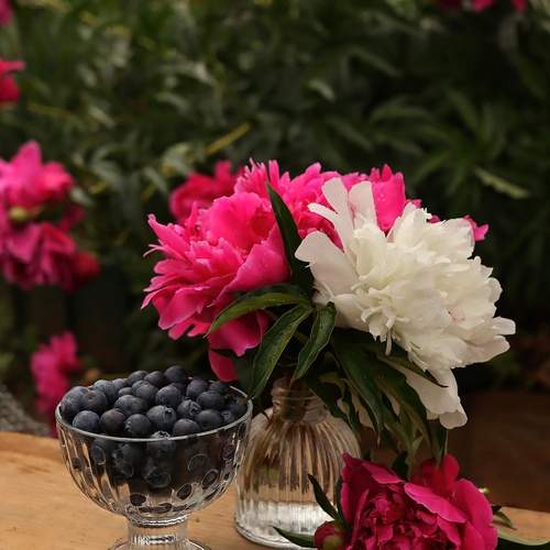 Photo #13705654