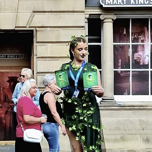 The Green Contrast