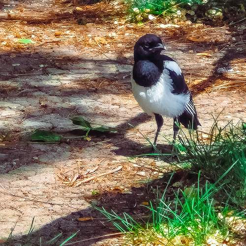 Photo #13705679