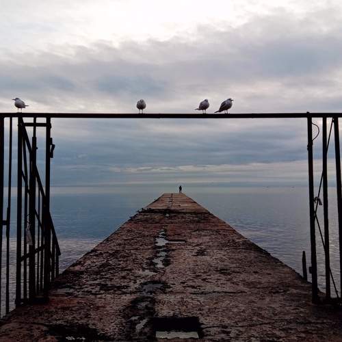 Photo #13705709