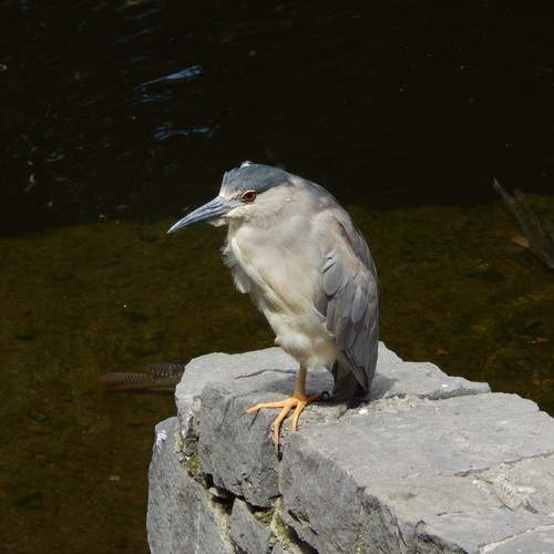 Photo #13705728