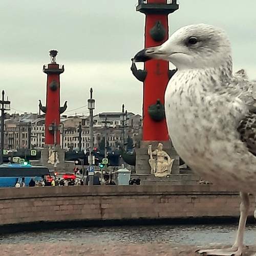 Photo #13705730