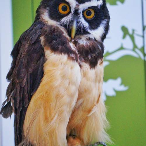 Photo #13705801