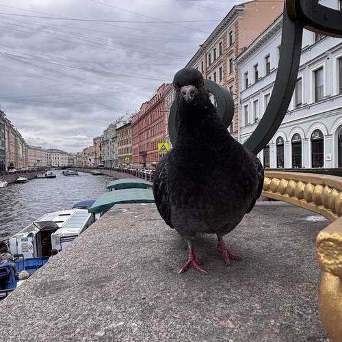 Photo #13705810