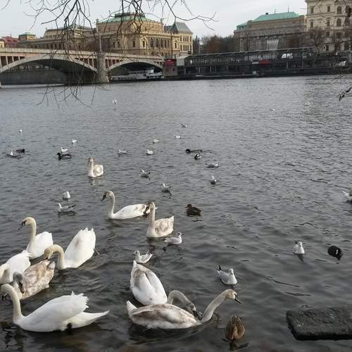 Photo #13705811