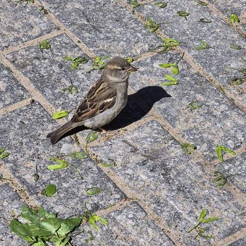 Photo #13705827
