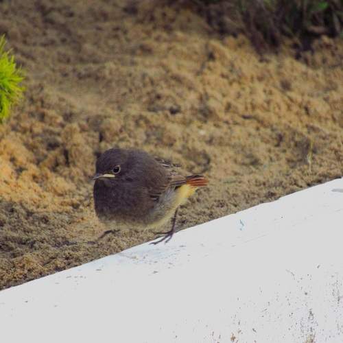 Photo #13705880