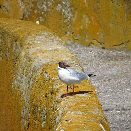 Photo #13705895