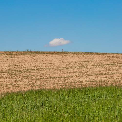 Photo #13705936