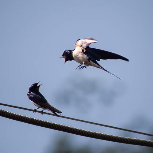 Photo #13705944