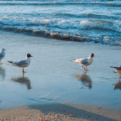 Photo #13706017