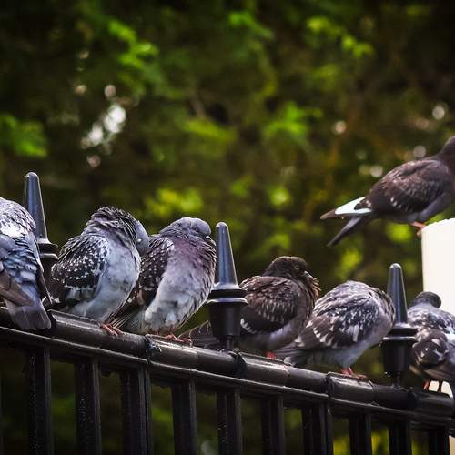 Photo #13706026