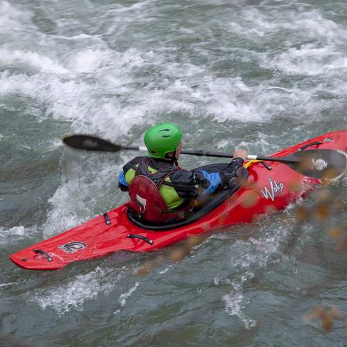 Photo #13706035