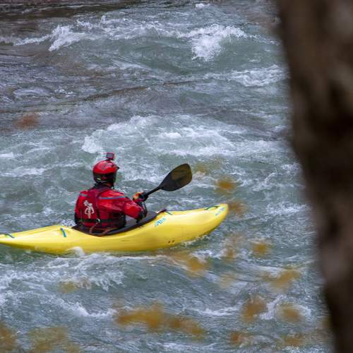 Photo #13706036