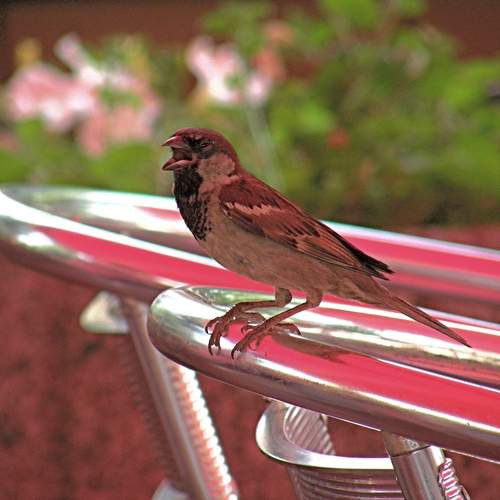 Photo #13706058