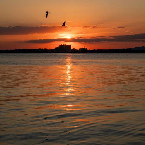Photo #13706100