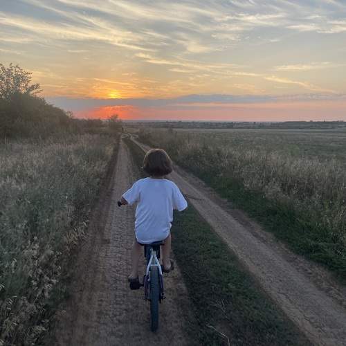 Photo #13706118