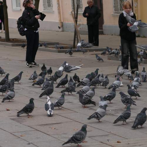 Photo #13706145