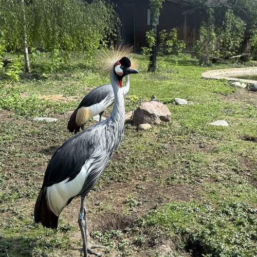 Photo #13706151