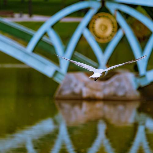 Photo #13706197